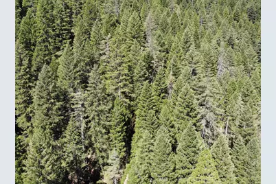 543 Main, Downieville, CA 95936 - Photo 36