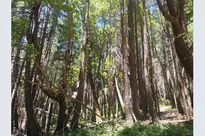 18290 Backwoods Road, Nevada City, CA 95959 - Photo 26