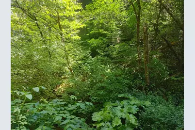 18290 Backwoods Road, Nevada City, CA 95959 - Photo 6