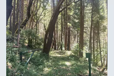 18290 Backwoods Road, Nevada City, CA 95959 - Photo 4