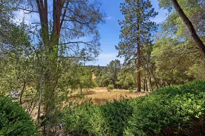 1109 Holly Leaf Lane, Meadow Vista, CA 95722 - Photo 58