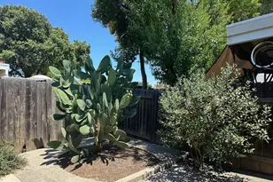 34 Chief Ct, Sacramento, CA 95833 - Photo 36
