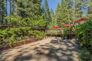 20516 E Pine Dr, Pioneer, CA 95666 - Photo 50