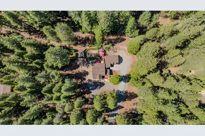20516 E Pine Drive, Pioneer, CA 95666 - Photo 68