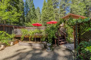 20516 E Pine Dr, Pioneer, CA 95666 - Photo 48