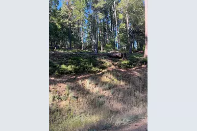 2216 Chaparral Drive, Arnold, CA 95223 - Photo 4
