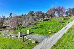13598 Desperado Dr, Penn Valley, CA 95946 - Photo 4