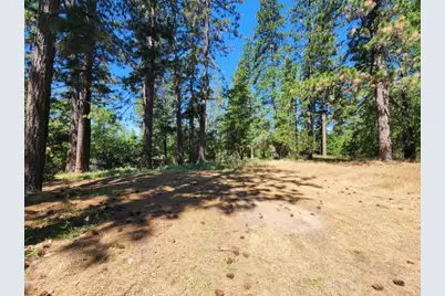 3614 N Railroad Flat Road, Wilseyville, CA 95257 - Photo 40