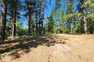 3614 N Railroad Flat Rd, Wilseyville, CA 95257 - Photo 40