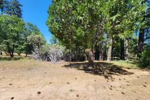 3614 N Railroad Flat Rd, Wilseyville, CA 95257 - Photo 44