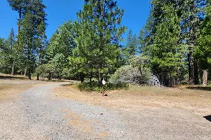 3614 N Railroad Flat Rd, Wilseyville, CA 95257 - Photo 46