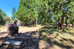 3614 N Railroad Flat Rd, Wilseyville, CA 95257 - Photo 42