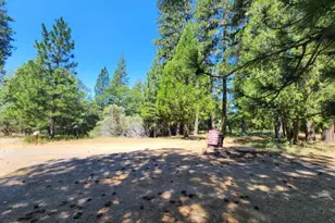 3614 N Railroad Flat Rd, Wilseyville, CA 95257 - Photo 52