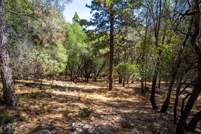 15020 Grand Knoll Drive, Meadow Vista, CA 95722 - Photo 4