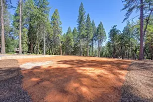 5347 Reservoir Rd, Georgetown, CA 95634 - Photo 84
