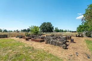 1980 Wilson Ave, Colusa, CA 95932 - Photo 10