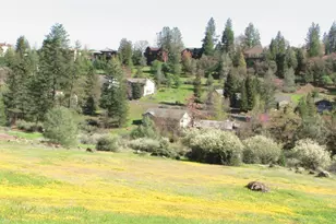 1357 Sandalwood Dr, Murphys, CA 95247 - Photo 60