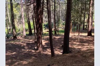 5741 Lupin Lane, Pollock Pines, CA 95726 - Photo 4