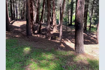 5741 Lupin Lane, Pollock Pines, CA 95726 - Photo 8