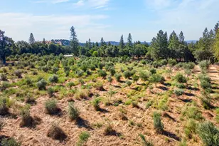 4000 Twin Rdgs Rd, Placerville, CA 95667 - Photo 92