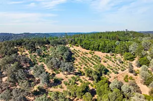 4000 Twin Rdgs Rd, Placerville, CA 95667 - Photo 88