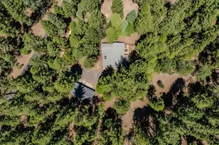 19775 Forest View Cir, Pioneer, CA 95666 - Photo 80