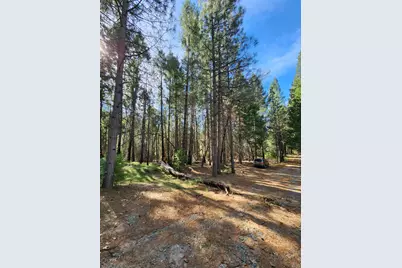 5303 Old Mine Road, Grizzly Flats, CA 95636 - Photo 2