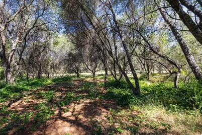 0 Hidden Valley Lane, Auburn, CA 95602 - Photo 18