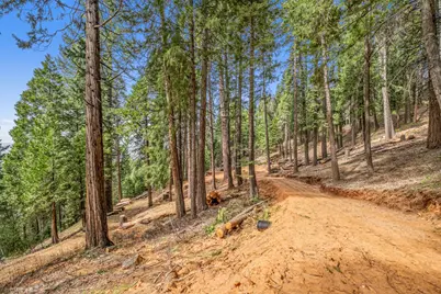 301 Camelot Way, Pollock Pines, CA 95726 - Photo 22