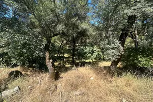 16216 Duggans Rd, Grass Valley, CA 95949 - Photo 32