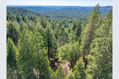 5014 Mount Pleasant Drive, Grizzly Flats, CA 95636 - Photo 70