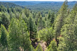 5014 Mt Pleasant Dr, Grizzly Flats, CA 95636 - Photo 70