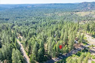 5014 Mt Pleasant Dr, Grizzly Flats, CA 95636 - Photo 58