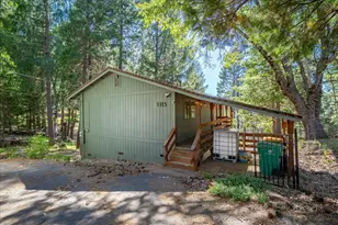 5014 Mt Pleasant Dr, Grizzly Flats, CA 95636 - Photo 4