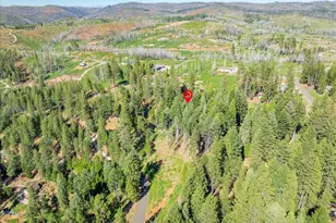 5014 Mt Pleasant Dr, Grizzly Flats, CA 95636 - Photo 60