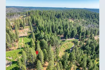 5014 Mount Pleasant Drive, Grizzly Flats, CA 95636 - Photo 64