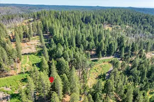 5014 Mt Pleasant Dr, Grizzly Flats, CA 95636 - Photo 64