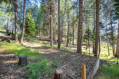 5014 Mount Pleasant Drive, Grizzly Flats, CA 95636 - Photo 50