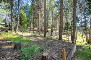 5014 Mt Pleasant Dr, Grizzly Flats, CA 95636 - Photo 50