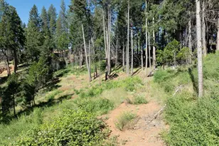 5014 Mt Pleasant Dr, Grizzly Flats, CA 95636 - Photo 68
