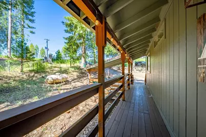 5014 Mount Pleasant Drive, Grizzly Flats, CA 95636 - Photo 8