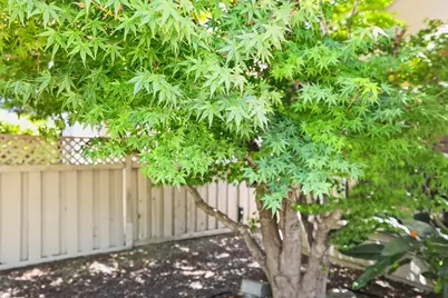 7240 Pineschi Place, Roseville, CA 95747 - Photo 46