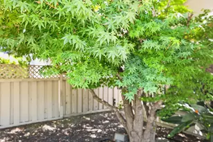 7240 Pineschi Pl, Roseville, CA 95747 - Photo 46