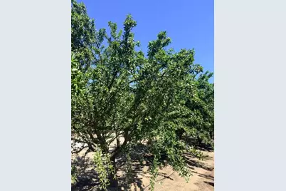 4331 Service Road, Ceres, CA 95307 - Photo 10