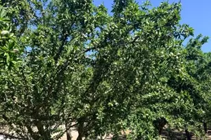 4331 Service Rd, Ceres, CA 95307 - Photo 10