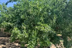 4331 Service Rd, Ceres, CA 95307 - Photo 6
