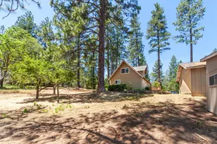 8370 Grizzly Flat Rd, Somerset, CA 95684 - Photo 6