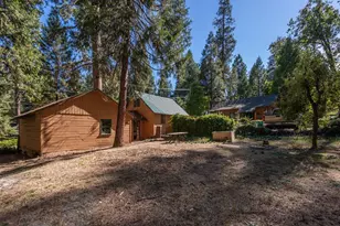 2964 Fern Ave, Camino, CA 95709 - Photo 36