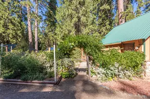2964 Fern Ave, Camino, CA 95709 - Photo 28
