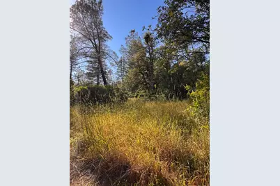 16492 Indiana Ranch Road, Dobbins, CA 95935 - Photo 6